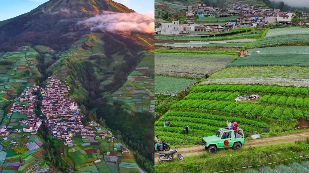 Nepal Van Java. Foto: Instagram @nepal_van_java