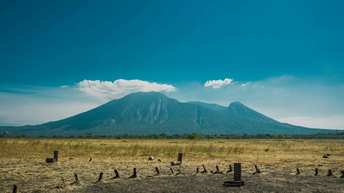 Ilustrasi panorama wisata di taman nasional Baluran. (Foto: Pexels/Rizk Nas)