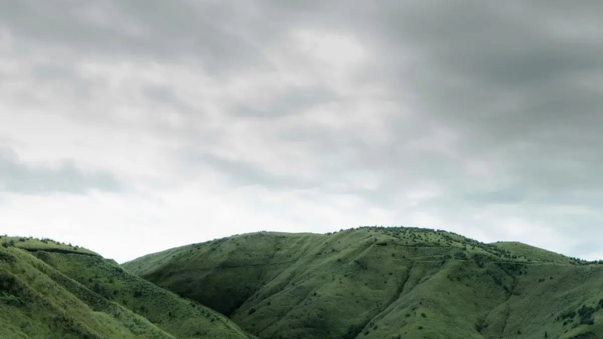 Ilustrasi panorama bukit di Kalimantan. (Foto: Pexels/Muhammad Bahauddin)