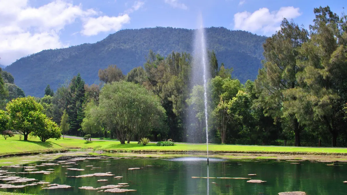 Kebun Raya Cibodas, salah satu tempat wisata dekat dengan Bogor. Foto: Laman Sangga Buana Hotel
