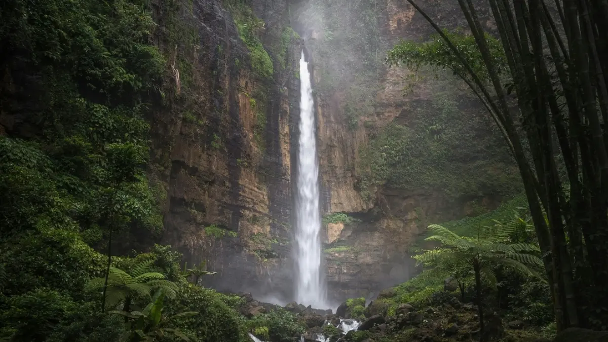 Ilustrasi salah satu air terjun yang ada di Jambi. Foto: Pexels/Anjar Pratama 
