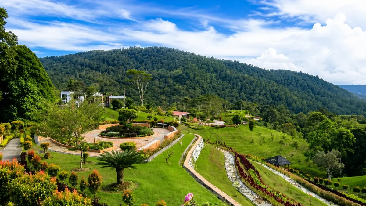 Ilustrasi panorama di Kebun Raya Liwa, salah satu tempat wisata di Lampung. (Foto: Instagram @kebunrayaliwa_lampungbarat)