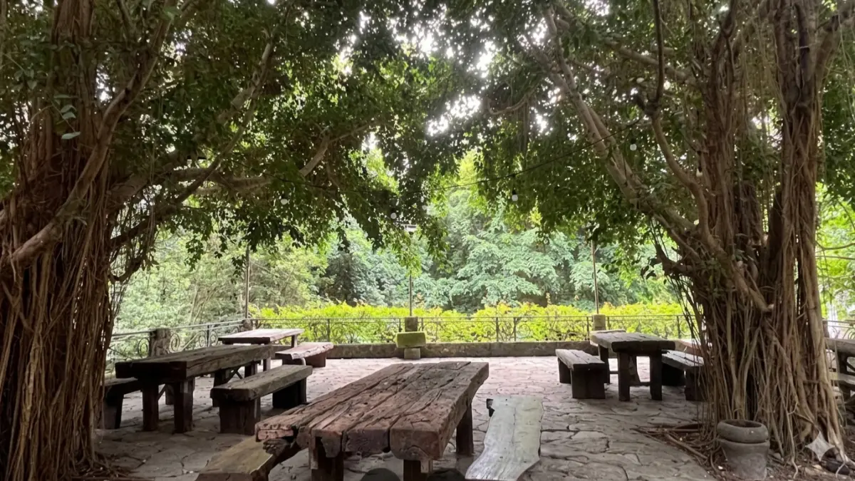 Suasana Jiwajawi Jogja, salah satu rekomendasi resto keluarga