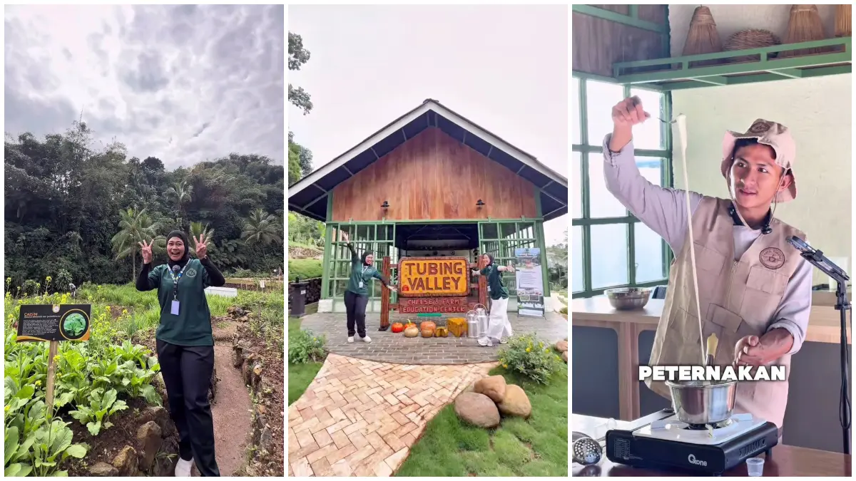 Aktivitas edukasi di Tubing Valley Cheese and Farm Education Center Kopi Tubing Pamijahan Bogor. (Foto: Instagram @kopitubing)