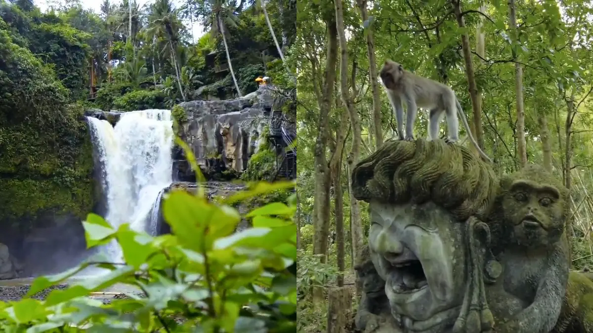 Tegenungan Waterfall (kiri) dan Monkey Forest (kanan) di kawasan Ubud, Bali. (Foto: Tangkapan Layar YouTube Bali Uptodate)
