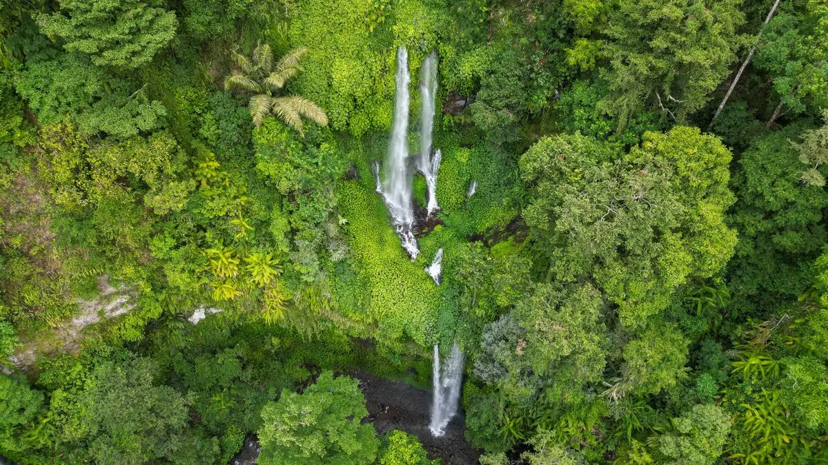 Ilustrasi wisata air terjun di Jawa Tengah. (Foto: Pexels/Ertabbt)