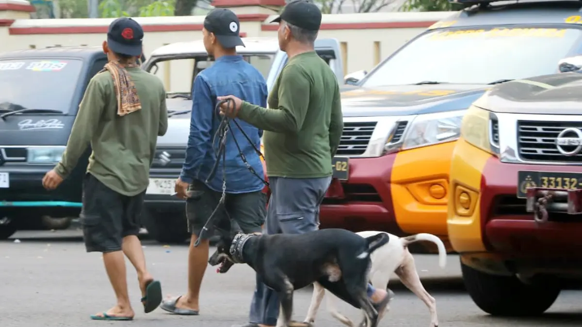 Polres Bogor mengamankan anjing pemburu pasca meninggalnya bocah berusia 9 tahun di Jasinga, Kabupaten Bogor. (Hendi Novian/Radar Bogor)