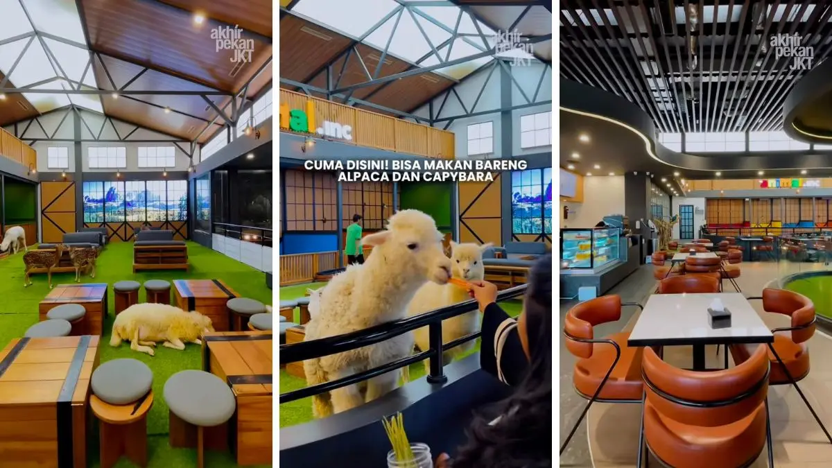 Suasana interaksi pengunjung dengan hewan-hewan lucu di Animal Inc. (Foto: Instagram @akhirpekanjkt)