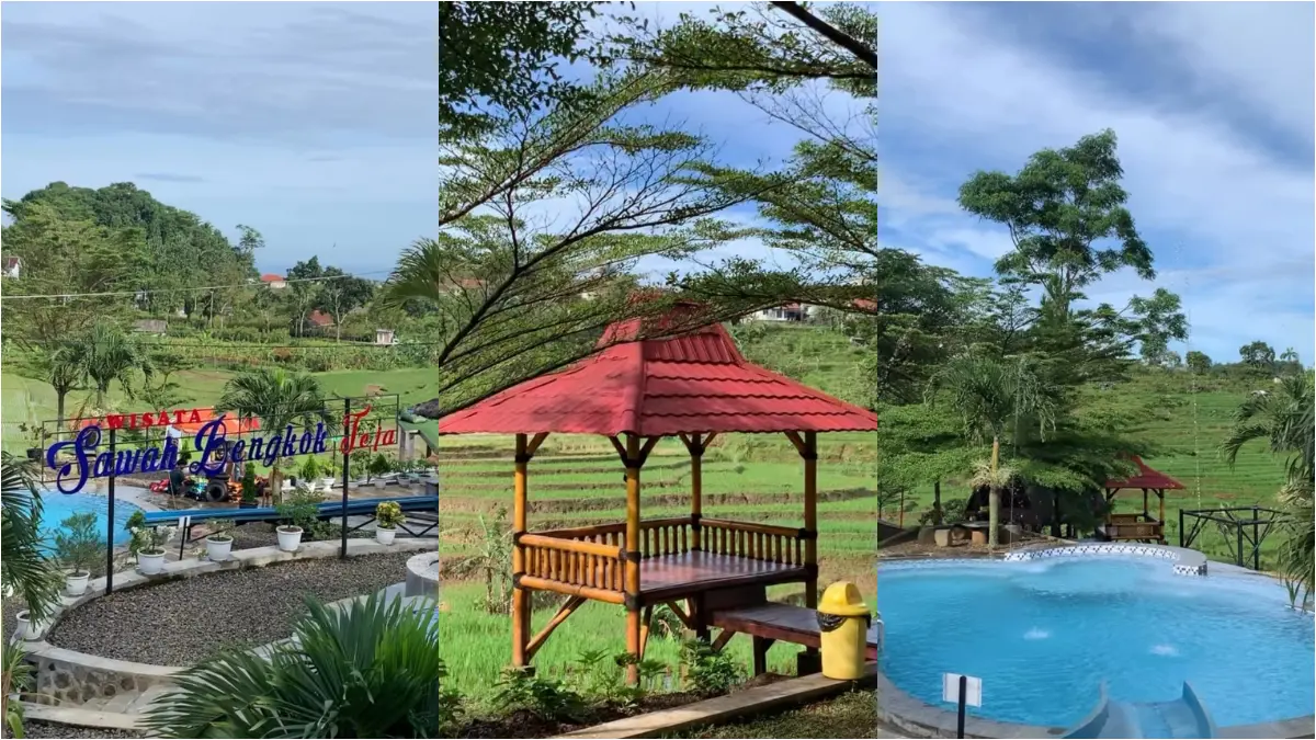 Wisata Sawah Bengkok Teja. (Foto: Instagram @sawahbengkok_mjlk)