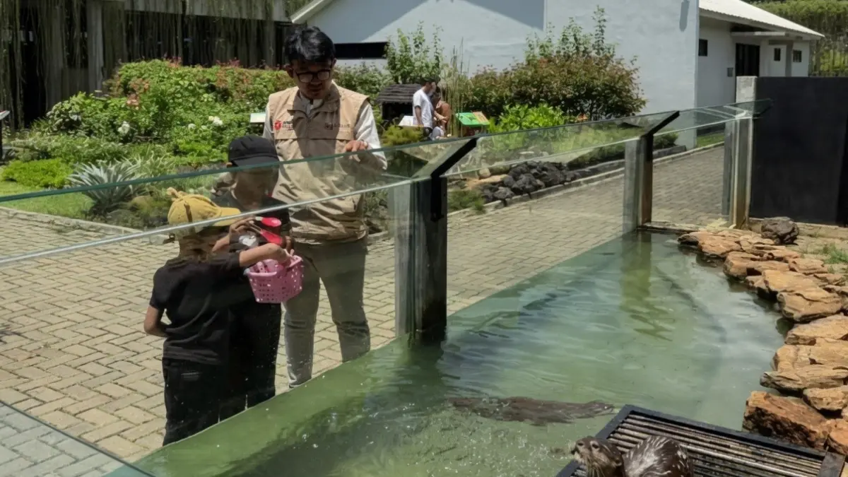 Anak-anak sedang memberi makan satwa di wisata animalium. (Foto: Instagram @animalium.id)
