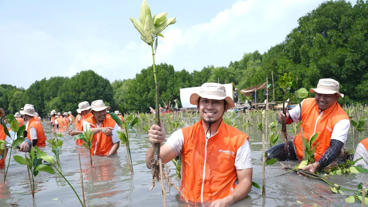 Kegiatan penanaman pohon mangrove di Desa Pantai Sederhana, Kecamatan Muara Gembong, Kabupaten Bekasi Utara oleh Hankook.