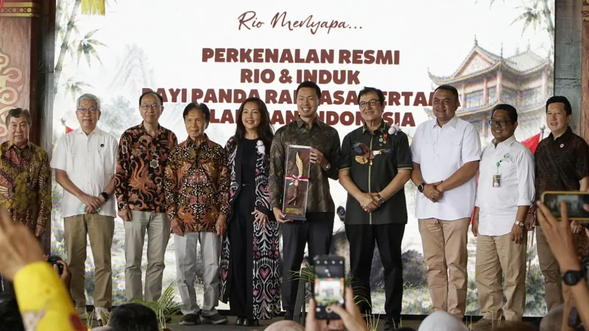 Bupati Bogor Rudy Susmanto menghadiri perkenalan resmi baby panda, Satrio Wiratama atau Rio di Taman Safari Indonesia di Cisarua Selasa, 9 Juni 2026. (Aziz/Radar Bogor)