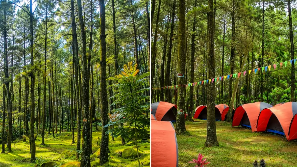 Taman Wisata Alam Gunung Pancar Sentul, Bogor. (Foto: Instagram @gunungpancar.official_id)