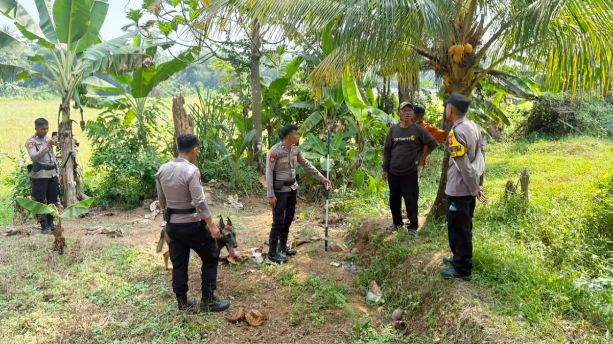 Tim K9 Direktorat Polisi Satwa (Ditpolsatwa) Baharkam Mabes Polri diturunkan untuk memburu anjing pemburu yang lepas di wilayah Jasinga, Kabupaten Bogor. (Dok. Polres Bogor)