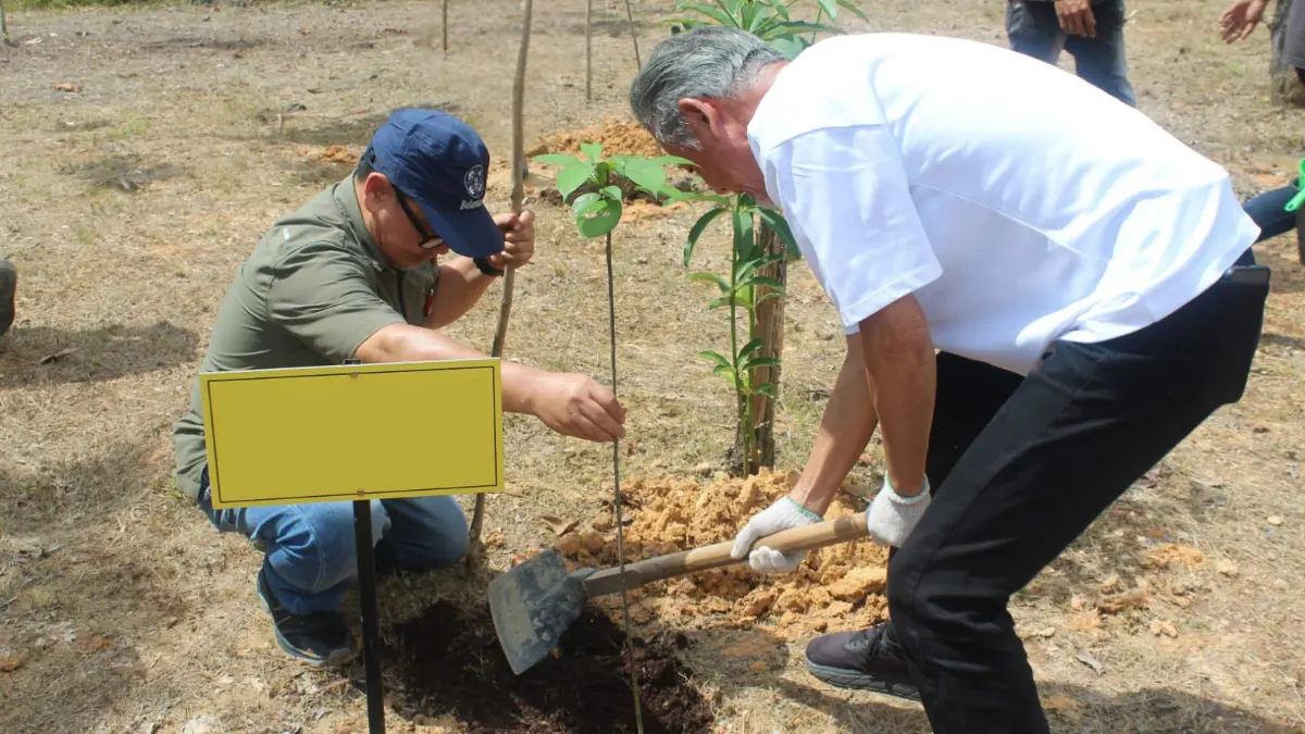 Penanaman bibit pohon yang dilakukan Belantara Foundation. Foto: Dok Belantara Foundation