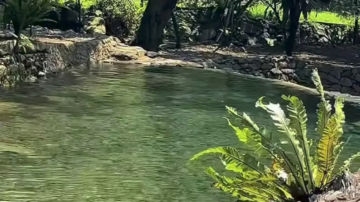 Leuwi Areuy Riverside (Foto: Instagram @leuwiareuyriverside, @sentulbogor.id)