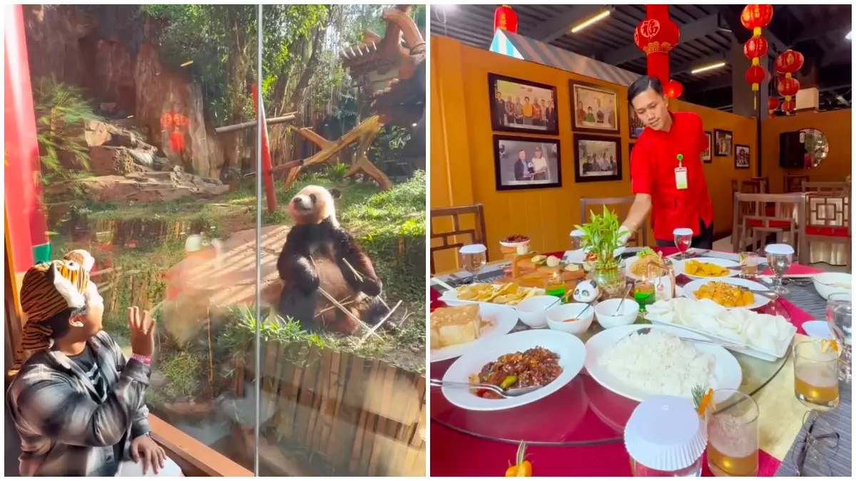 Lunch With Panda di Taman Safari Bogor. (Foto: Instagram @makanbrokkk)