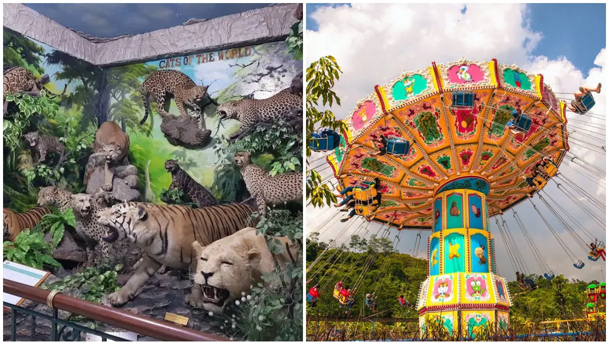 Rekomendasi tempat wisata buat liburan bareng keluarga di Bogor. (Foto: Tangkapan layar YouTube Mas Bait)