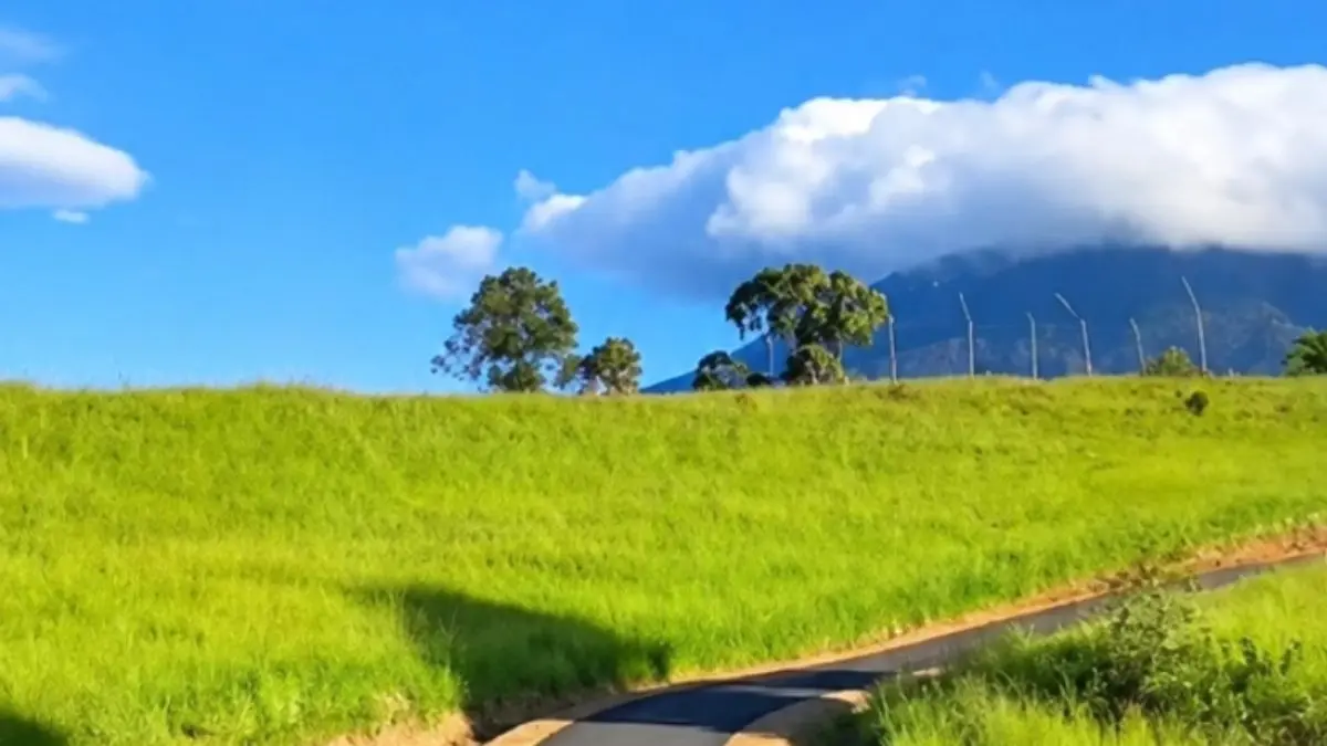 Savana Cibedug. (Foto: Instagram @berwisatabogor)