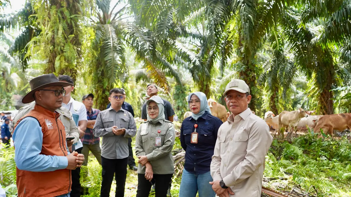 Wamenko Pangan Hanif Faisol usai meninjau langsung pelaksanaan Program SISKA di areal perkebunan PT Buana Karya Bhakti, Kalimantan Selatan, Jumat 19 Juni 2026.