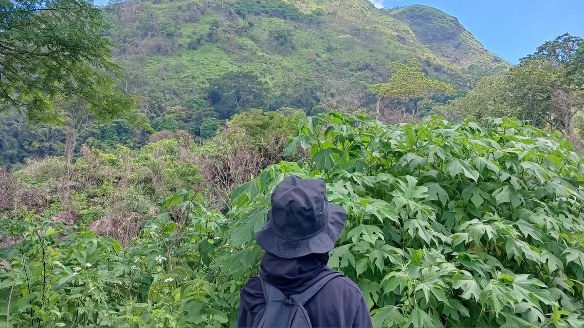 Ilustrasi mendaki gunung dengan jalur trekking pemula. (Foto: Choyi.id/Canva)