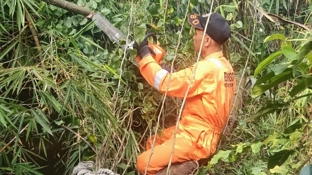 Petugas BPBD Kota Bogor saat melakukan penanganan pohon tumbang yang menimpa dapur rumah warga di Kedungbadak. (Dok. BPBD for Radar Bogor)