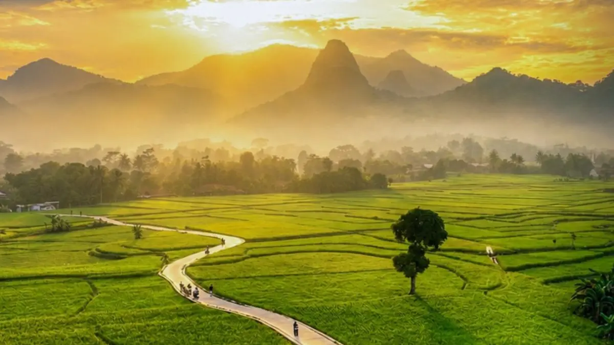 Sawah Korod. (Foto: Instagram @explorecariu)