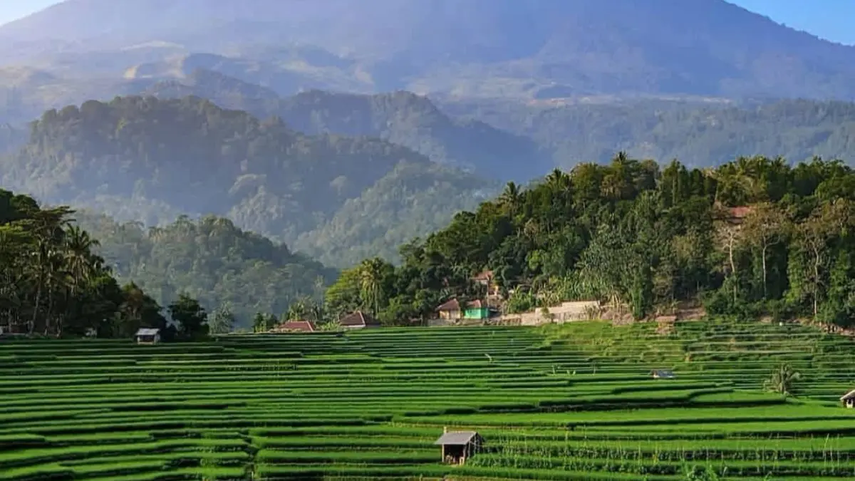 Sawah Thanos, salah satu wisata alam di Majalengka. (Foto: Instagram @hellojabar)