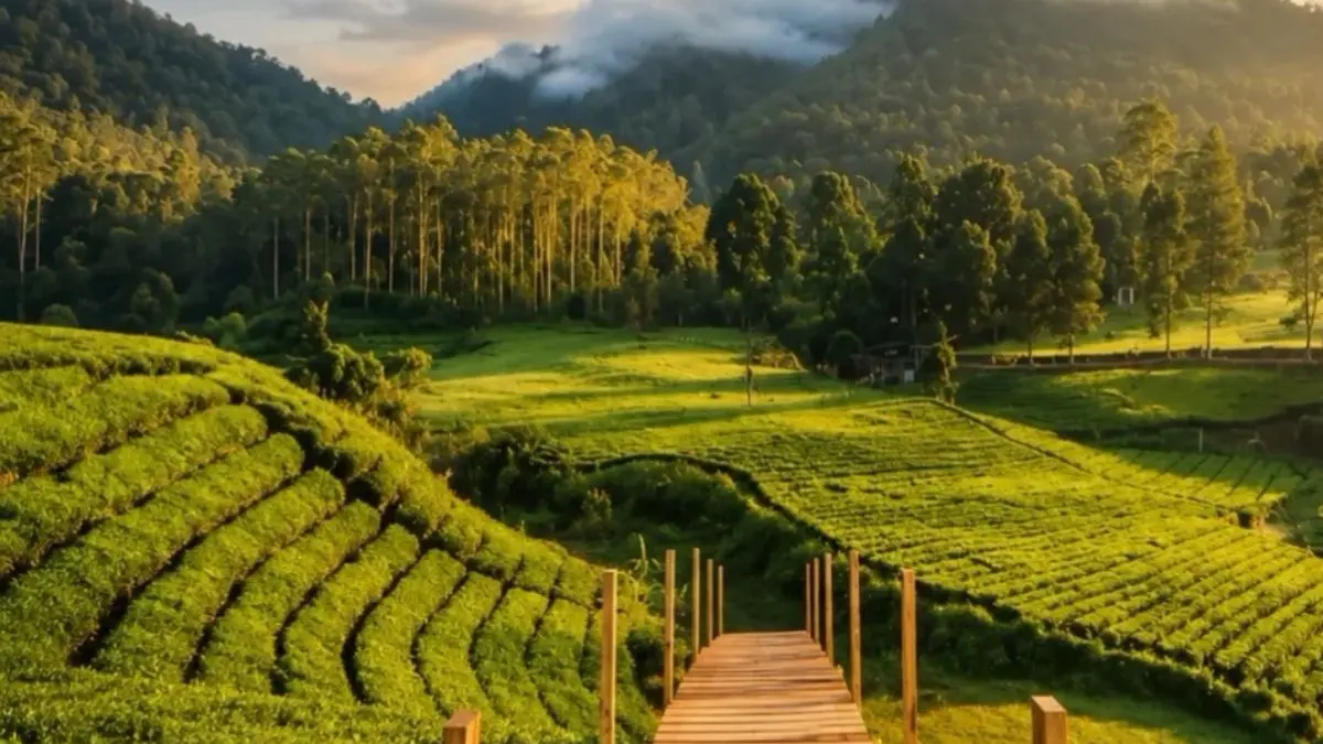 Wisata Nuansa Riung Gunung, Pangalengan. (Foto: Instagram @bandungtourism)