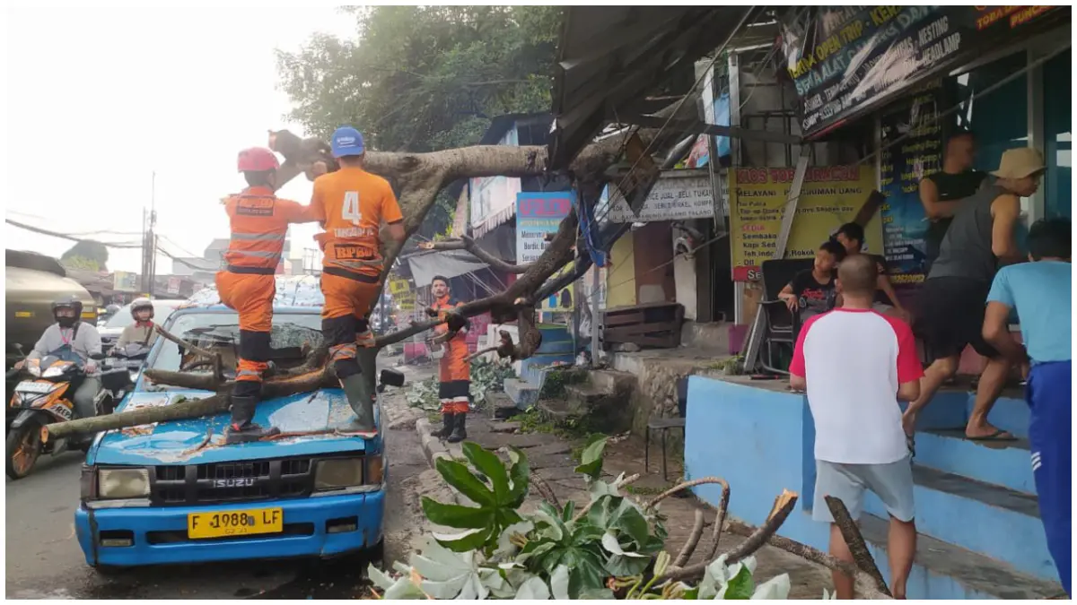 Pohon tumbang menimpa angkot dan rumah di Kedung Halang Kota Bogor. (Foto : BPBD for Radar Bogor)