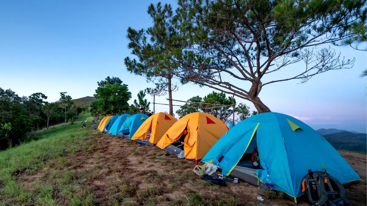 Ilustrasi Pusat Sewa alat camping di Bogor. Foto: pexels/Quang Nguyen Vinh