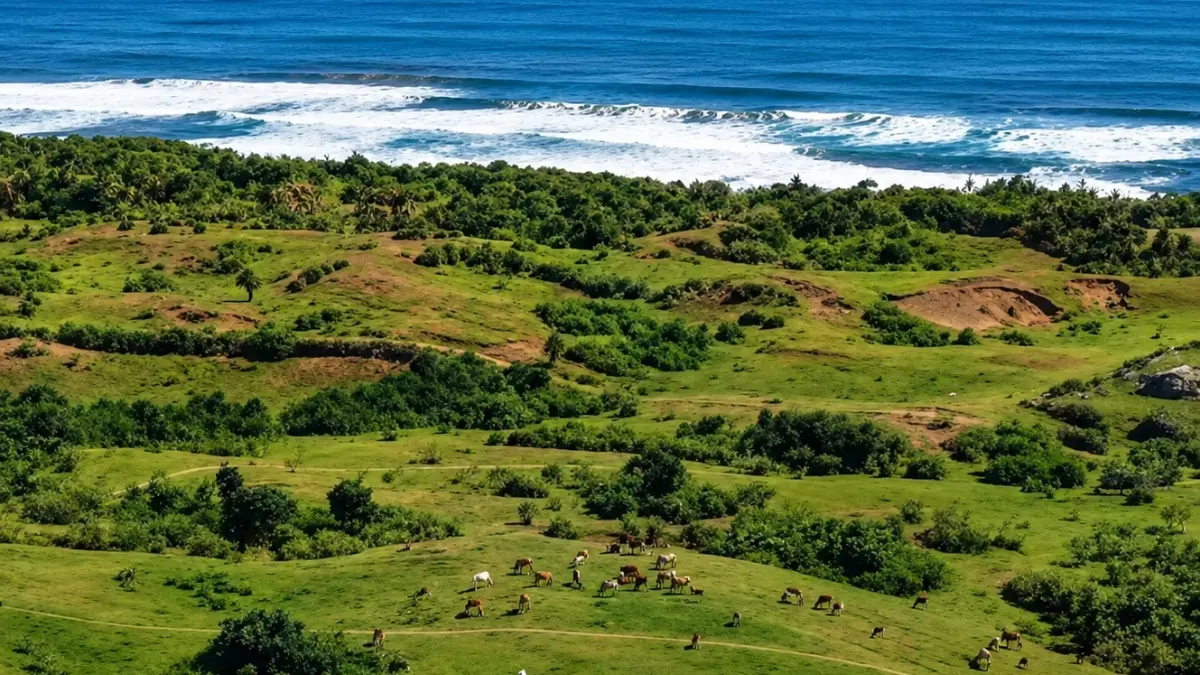 Pantai Sayang Heulang, Garut. Foto: Instagram @pantaisayangheulang
