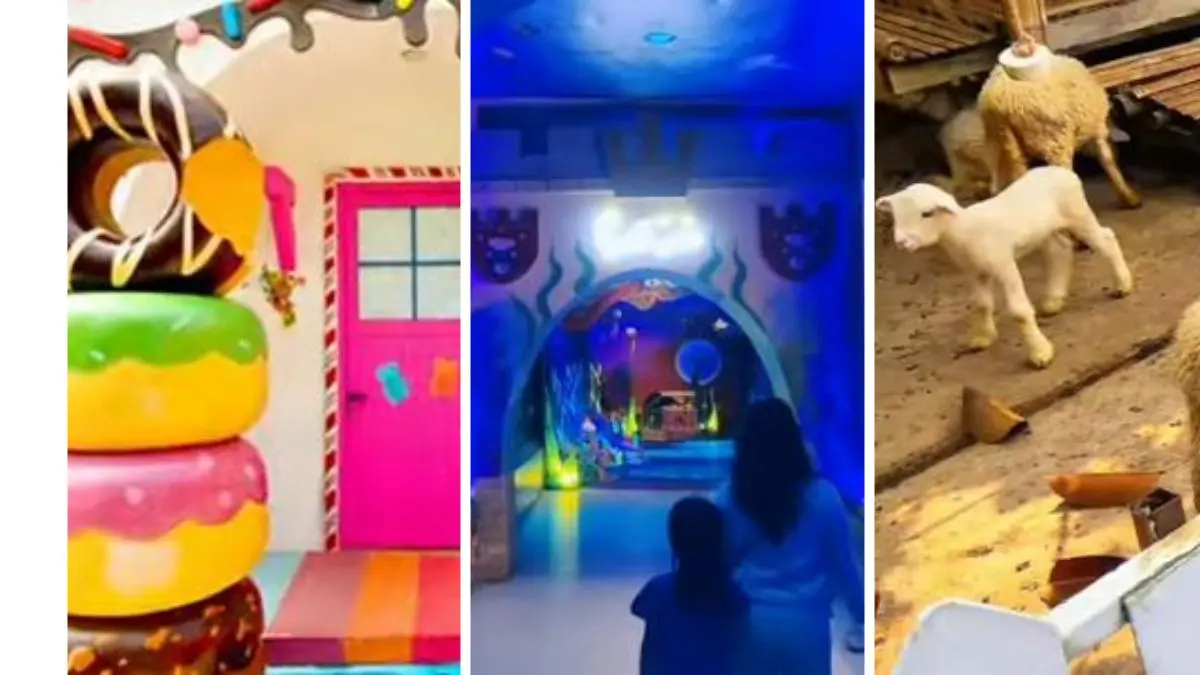 Wahana dan area bermain yang ada di Nicole