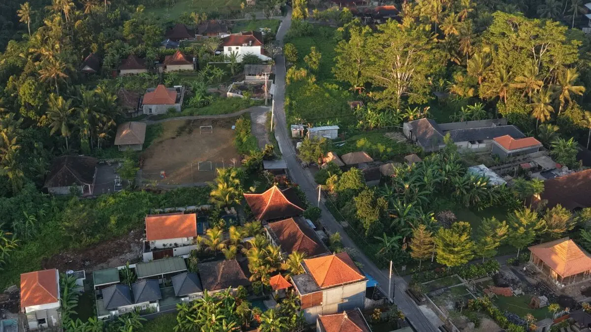 Ilustrasi kecamatan terluas di Kabupaten Bogor (pexels.com/sasif awan)