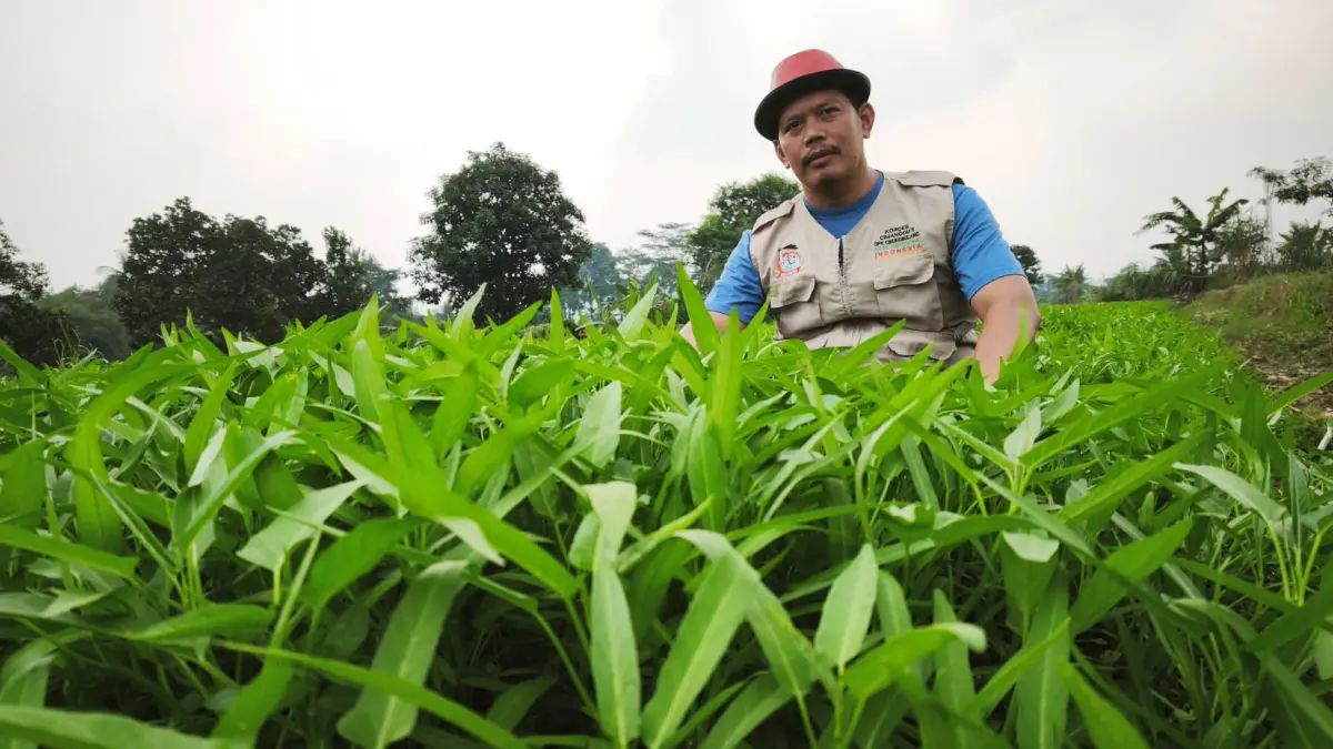 Kelompok Tani Sari Mukti, Desa Cimanggu II, Cibungbulang, mengajak generasi milenial untuk sukses dengan menjadi petani melalui program Petani Berdasi. Foto: Pokwan Sari Mukti for Radar Bogor
