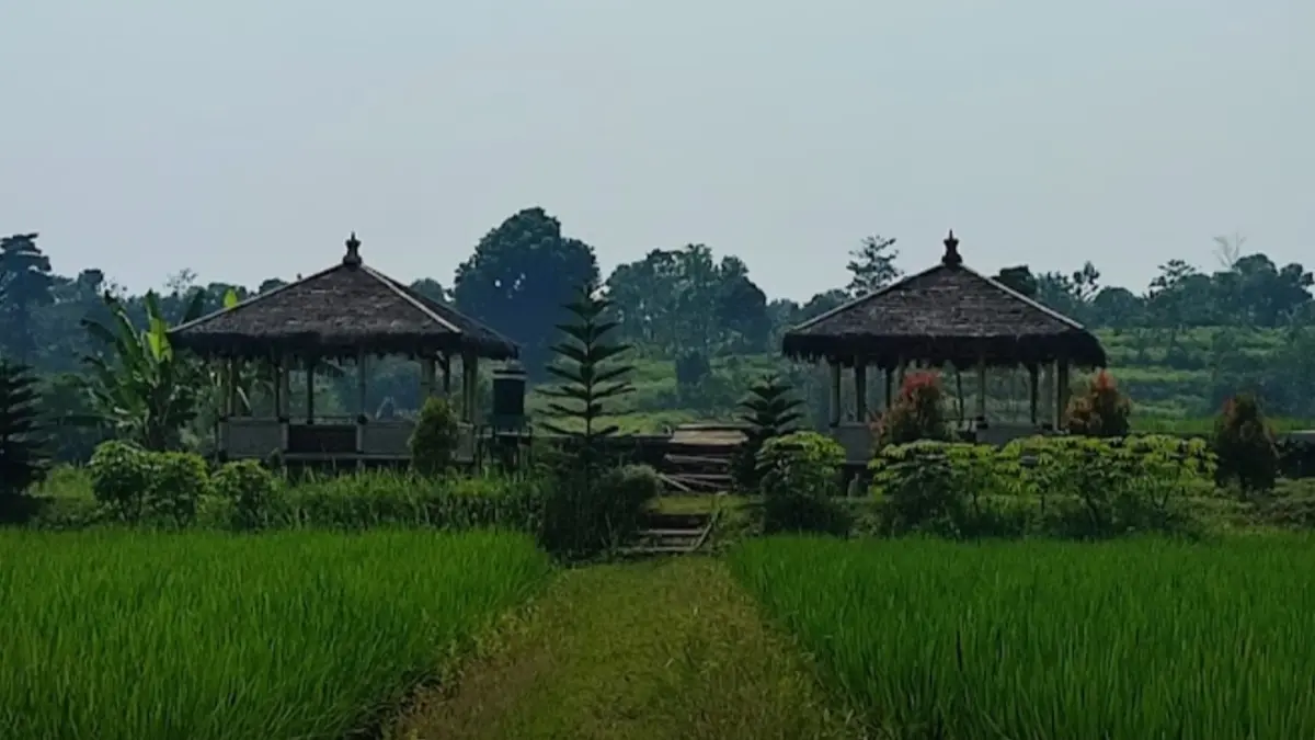 Pemandangan Agro Eduwisata Organik Mulyaharja Bogor (wisatamulyaharja.com)