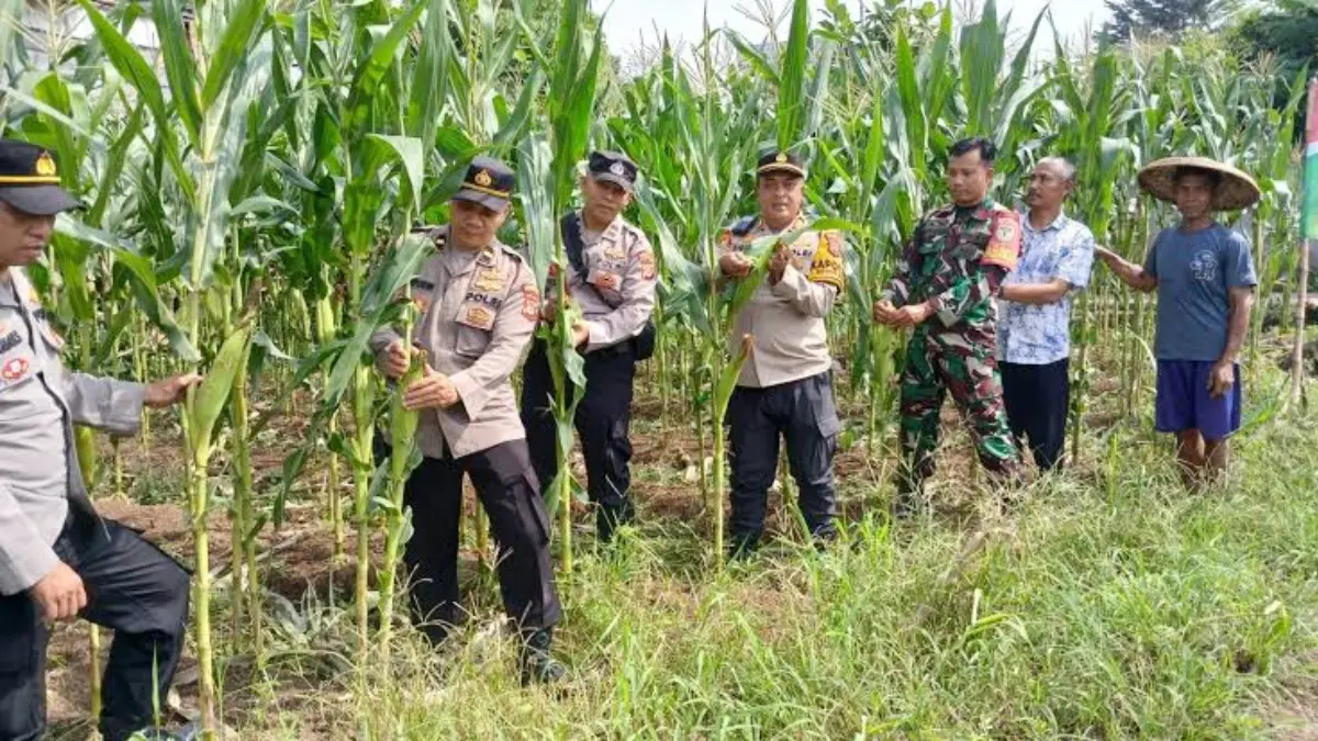 Petugas Polresta Bogor Kota bersama petani saat monitoring pertanian jagung. (Dok. Polresta Bogor Kota)