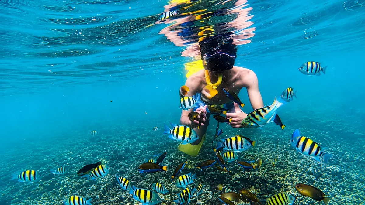 Snorkeling taman laut pasir putih Pangandaran. (Foto:  Instagram @snorkeling.pasirputih)