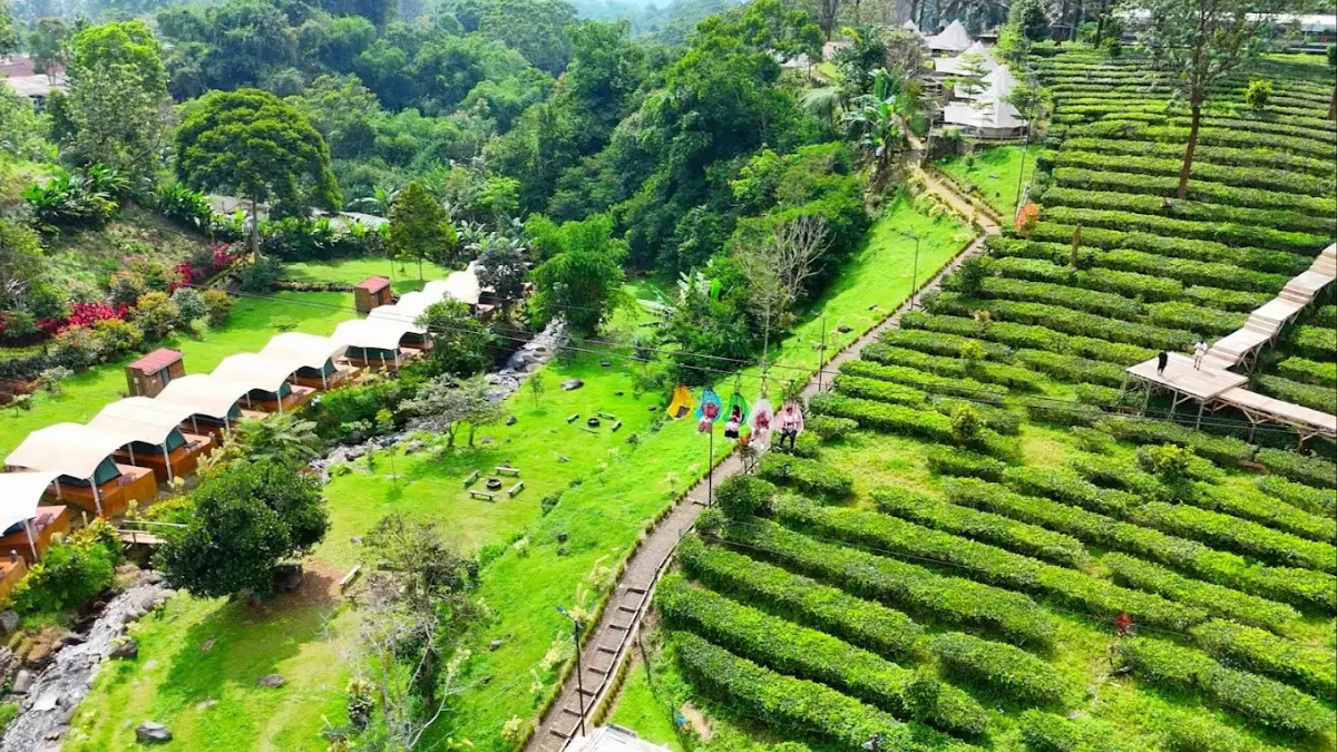 Salah satu tempat wisata di Kawasan Puncak Bogor yang luas dan sejuk. Foto: Camping Ground Indonesia