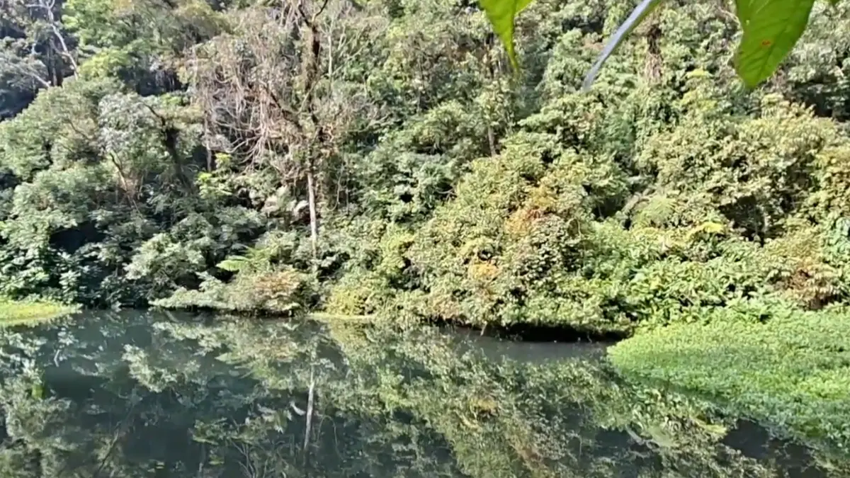 Telaga Biru di Gunung Gede. (Foto: YouTube Plesiran asik)