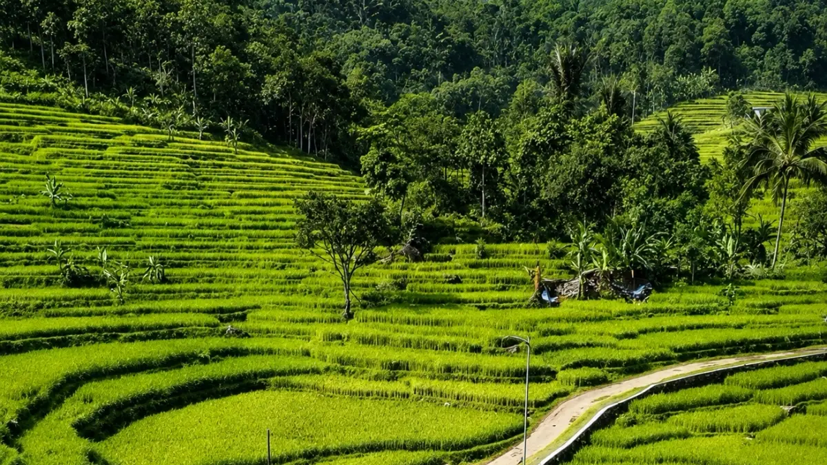 Panorama Desa Wisata Purwabakti. (Foto: Instagram @pesonakabogor)
