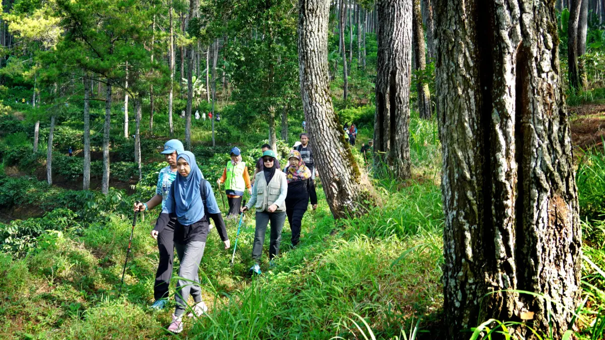 Healing forest, jadi cara hilangkan stres dan meningkatkan imun yang tengah digemari semua generasi saat ini. Foto: Laman Jungle Park
