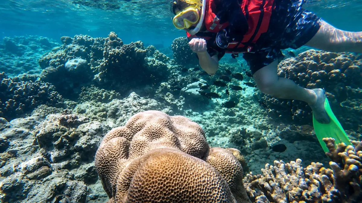 Snorkeling di pulau seribu. (Instagram @opentrippulauseribu.private)
