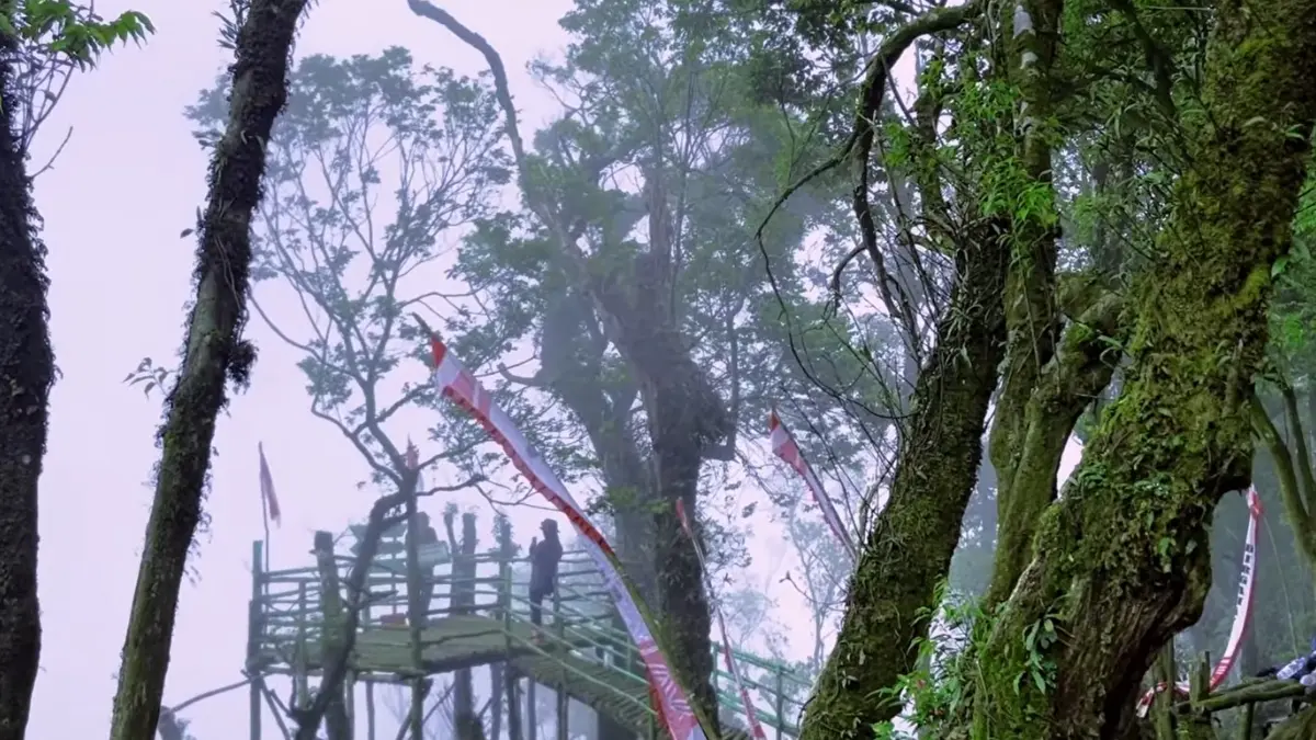 Puncak Lumut Sukamakmur, Bogor. (Foto: YouTube Opal Raufal)