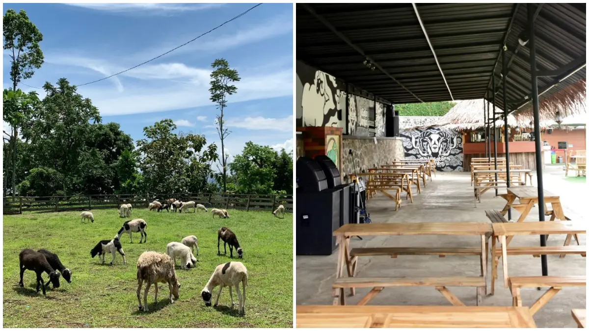Suasana di kawasan De Wisdom Garut. (Foto: Instagram @wisatadombagarut)