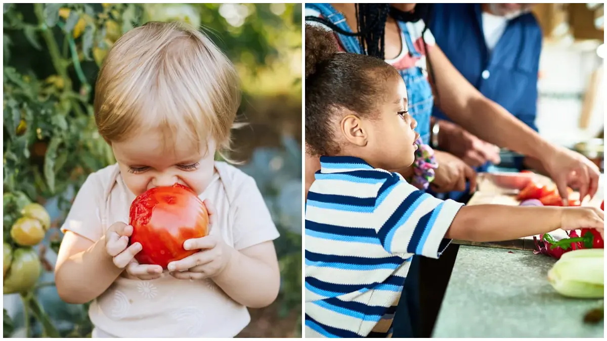 Ilustrasi anak kecil sedang memakan sayuran. (Foto : Getty Image from BBC News)