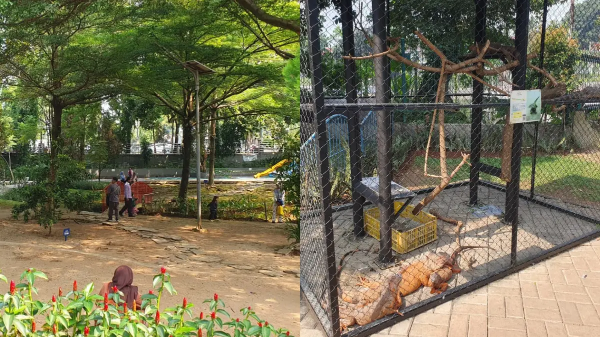 Masyarakat saat mengunjungi mini zoo di kawasan Situ Plaza Cibinong, Kabupaten Bogor(Billy/Radar Bogor)