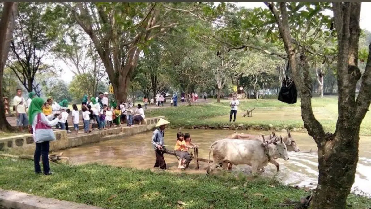 Aktivitas seru di Kebun Wisata Pasirmukti. (Foto: Google Maps Novan Haris Sanjaya, Kebun Wisata Pasirmukti)