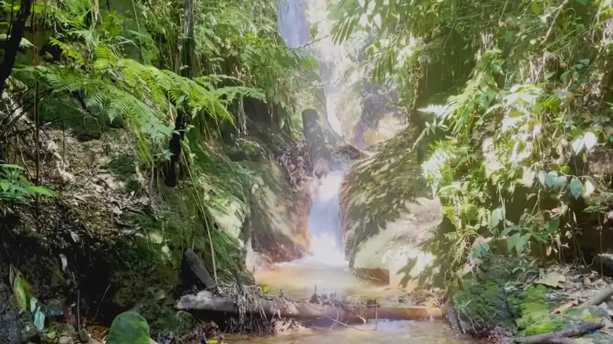 Curug Puncak Pelangi, Bogor. (Foto: YouTube Opal Raufal)
