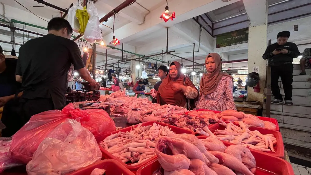 Ilustrasi pedagang ayam di pasar Bogor. Foto: Dzikri/Radar Bogor